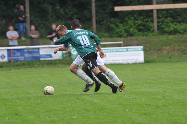 人的不仅仅 人的不仅仅