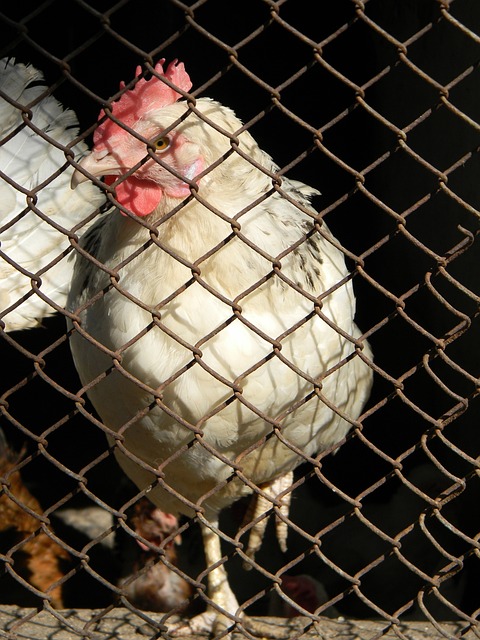 终如一的努 终如一的努