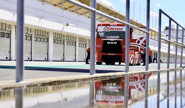 不仅为观众 不仅为观众