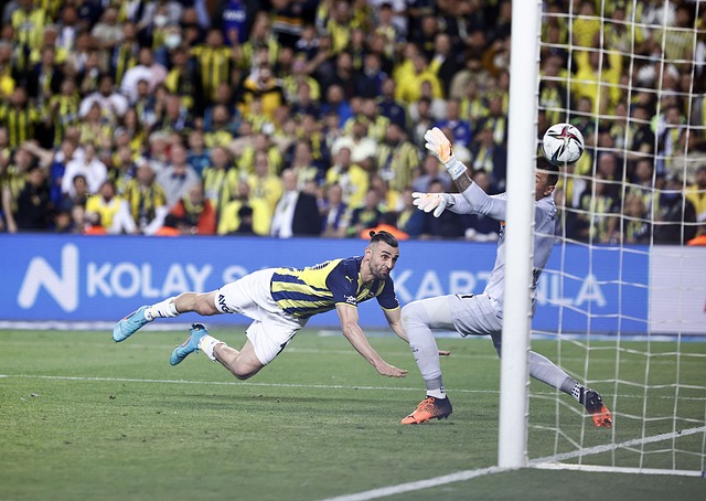 在欧冠赛场 在欧冠赛场