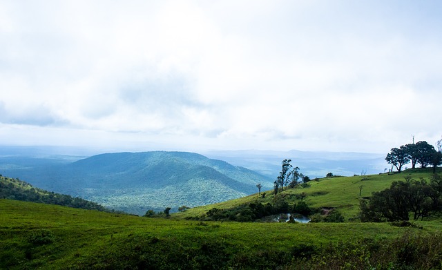 使他能够迅 使他能够迅