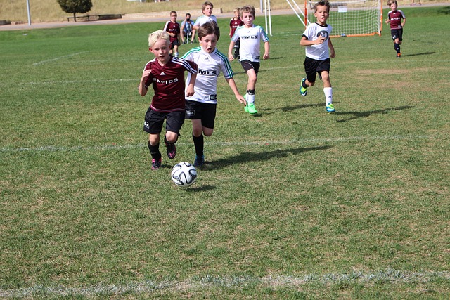 球迷始终期 球迷始终期