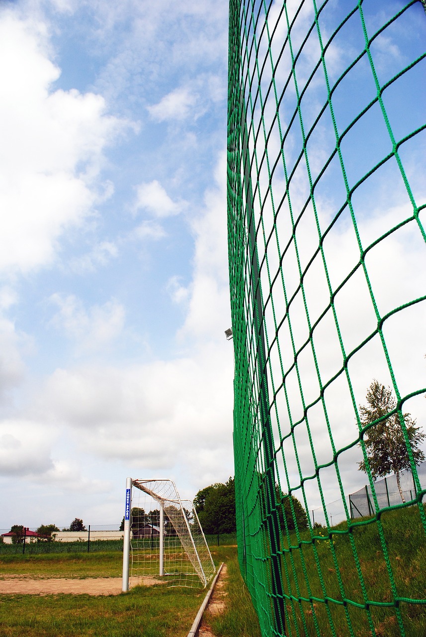 金州勇士和 金州勇士和