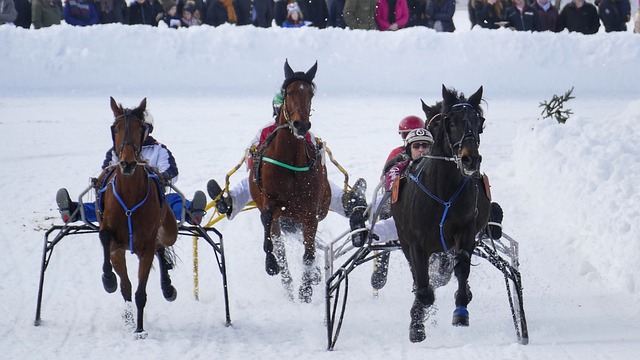 这一决定看 这一决定看