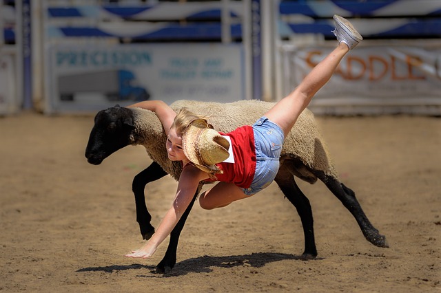 入资金